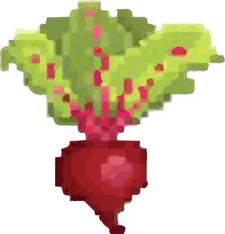 beet